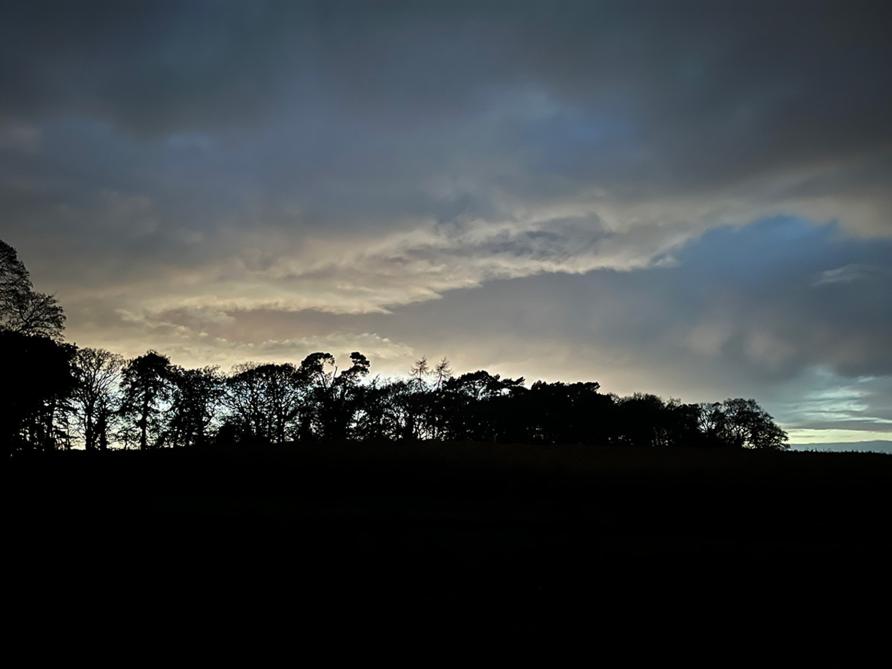 Shropshire Field