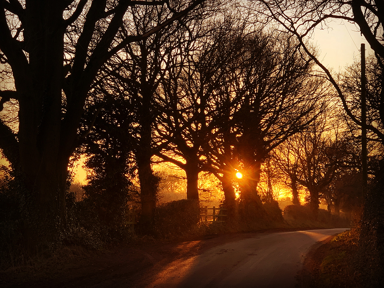 Sunset in lane Shropshire UK