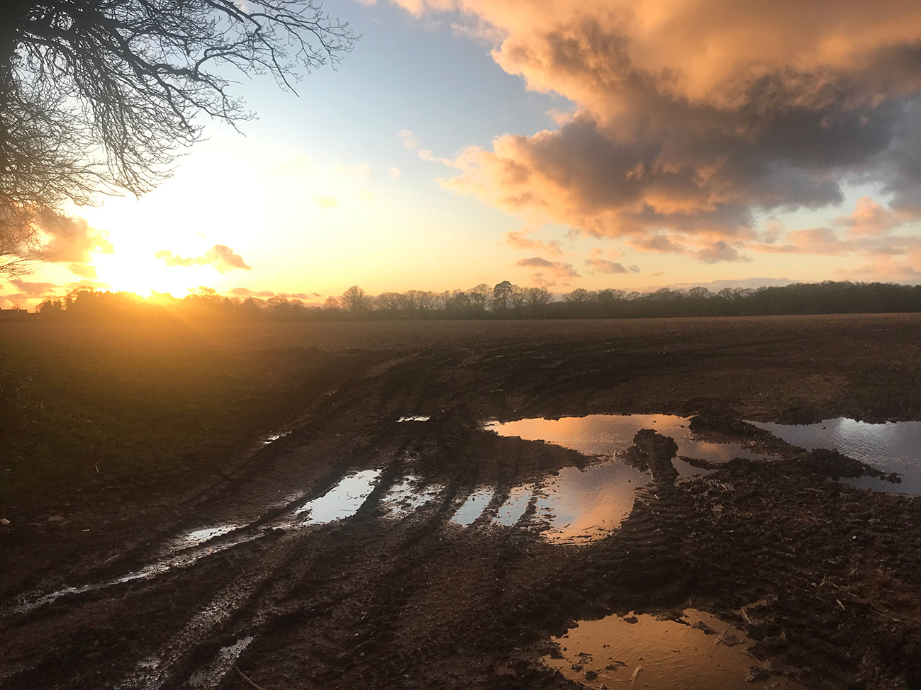 Dusk. Shropshire fields UK