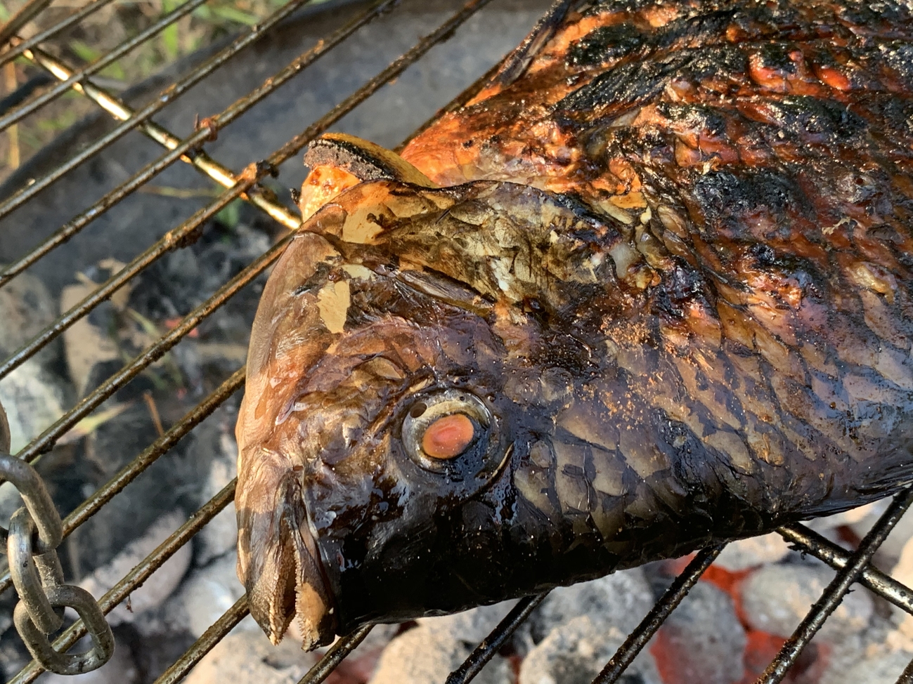 BBQ Tilapia fish