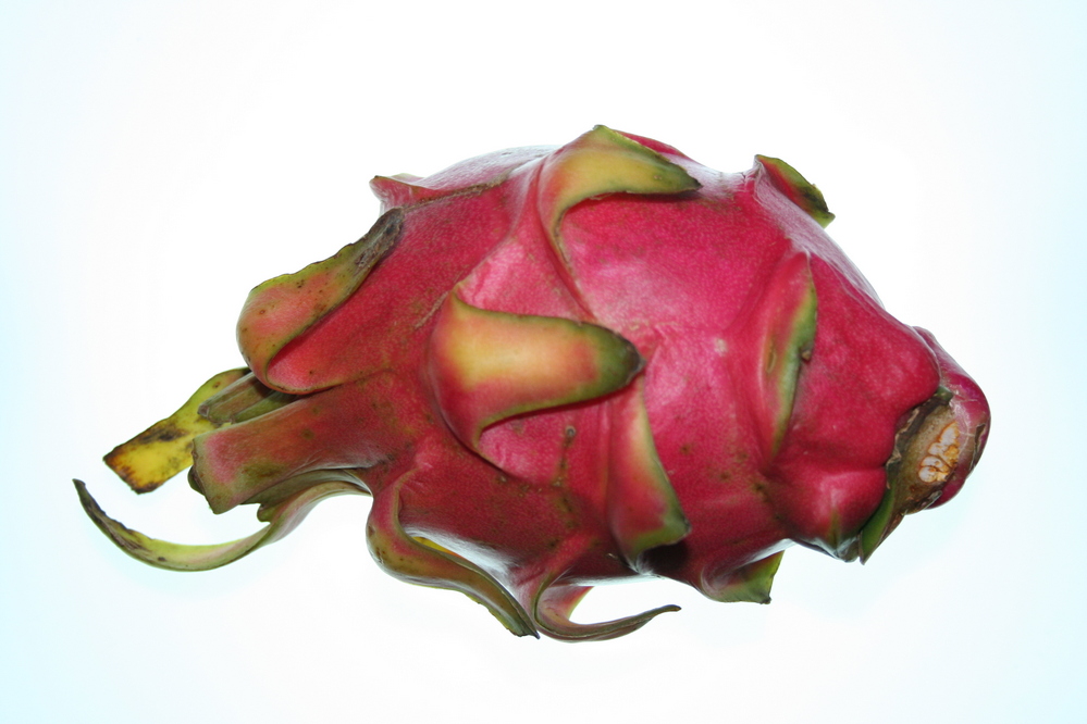 Dragon Fruit