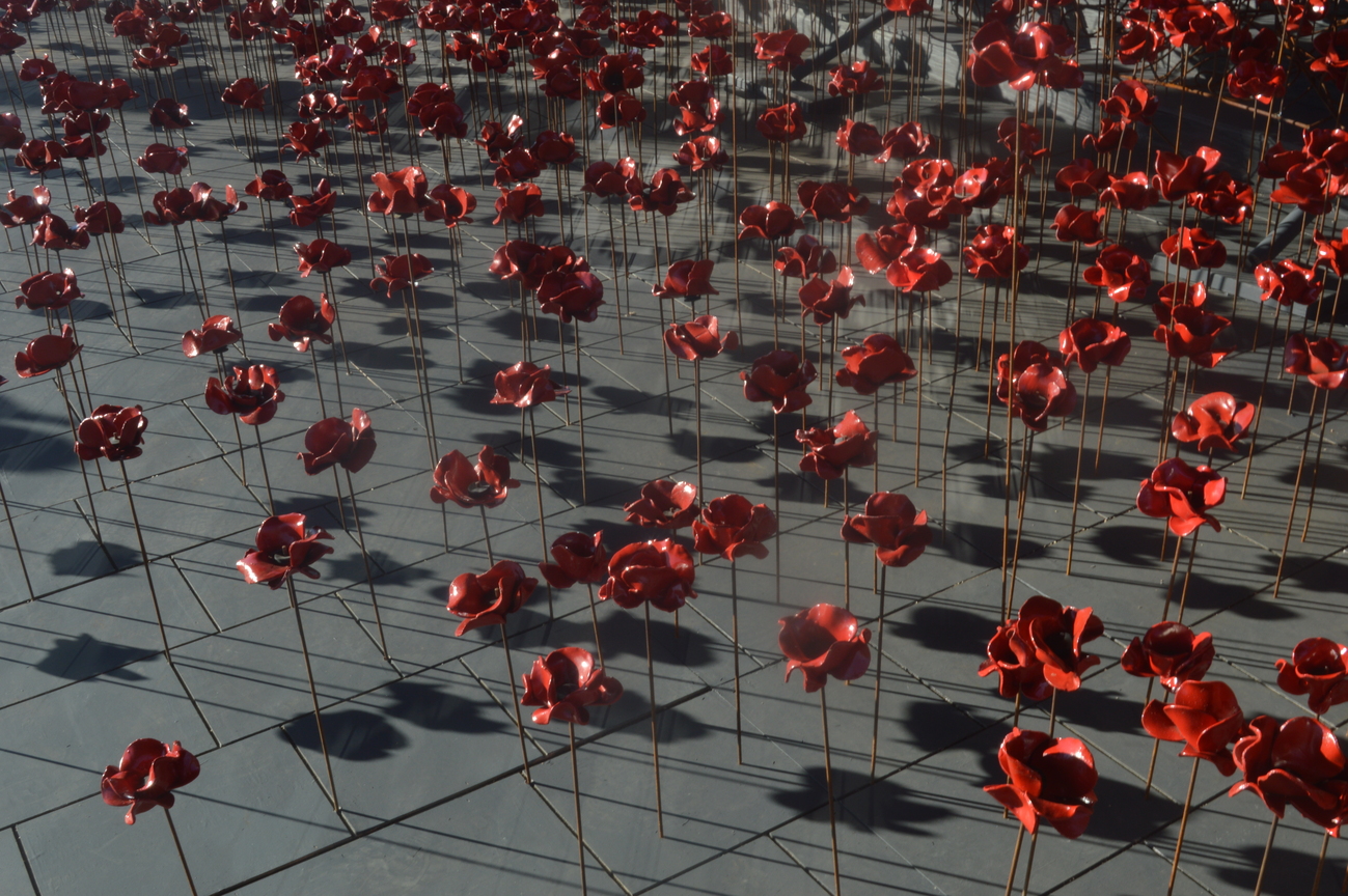 Poppies Welsh Assembly Cardiff